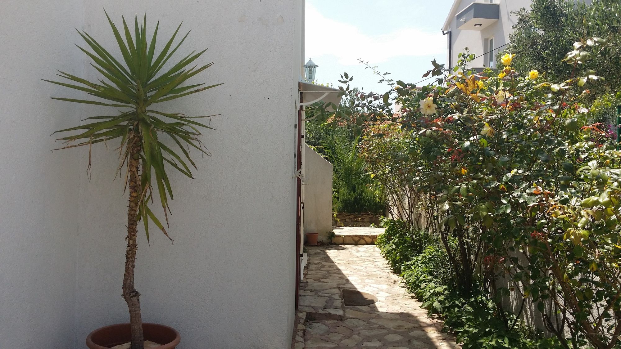 Фото Villa Sandra Hvar