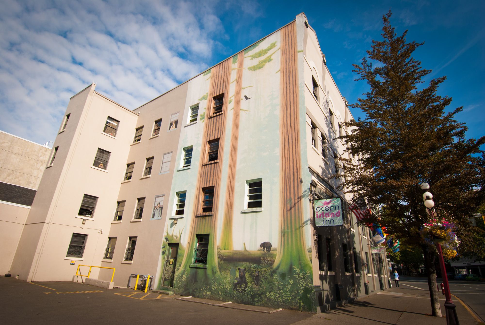 Фото Ocean Island Backpackers Inn