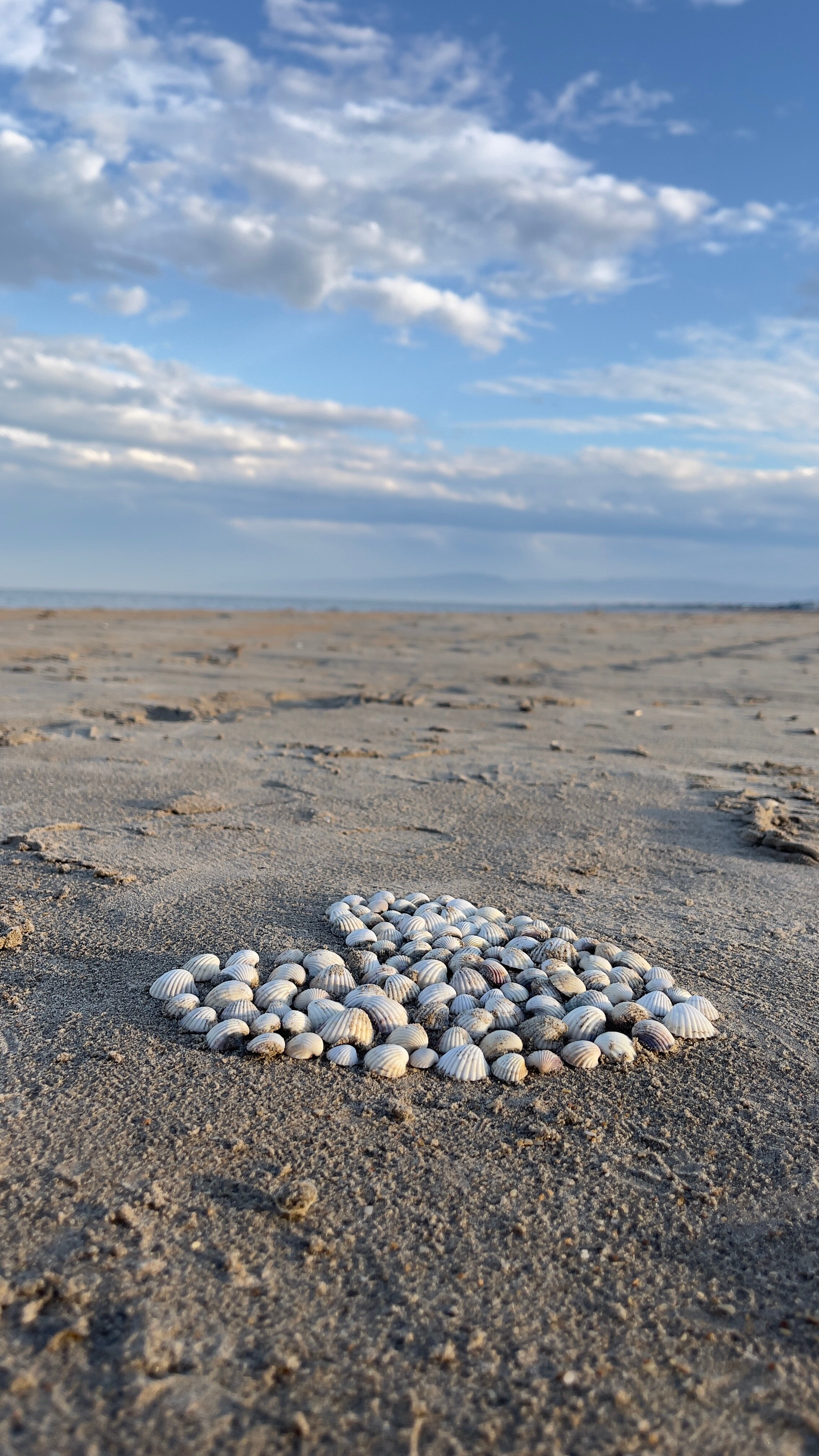 Фото Villa_Miami