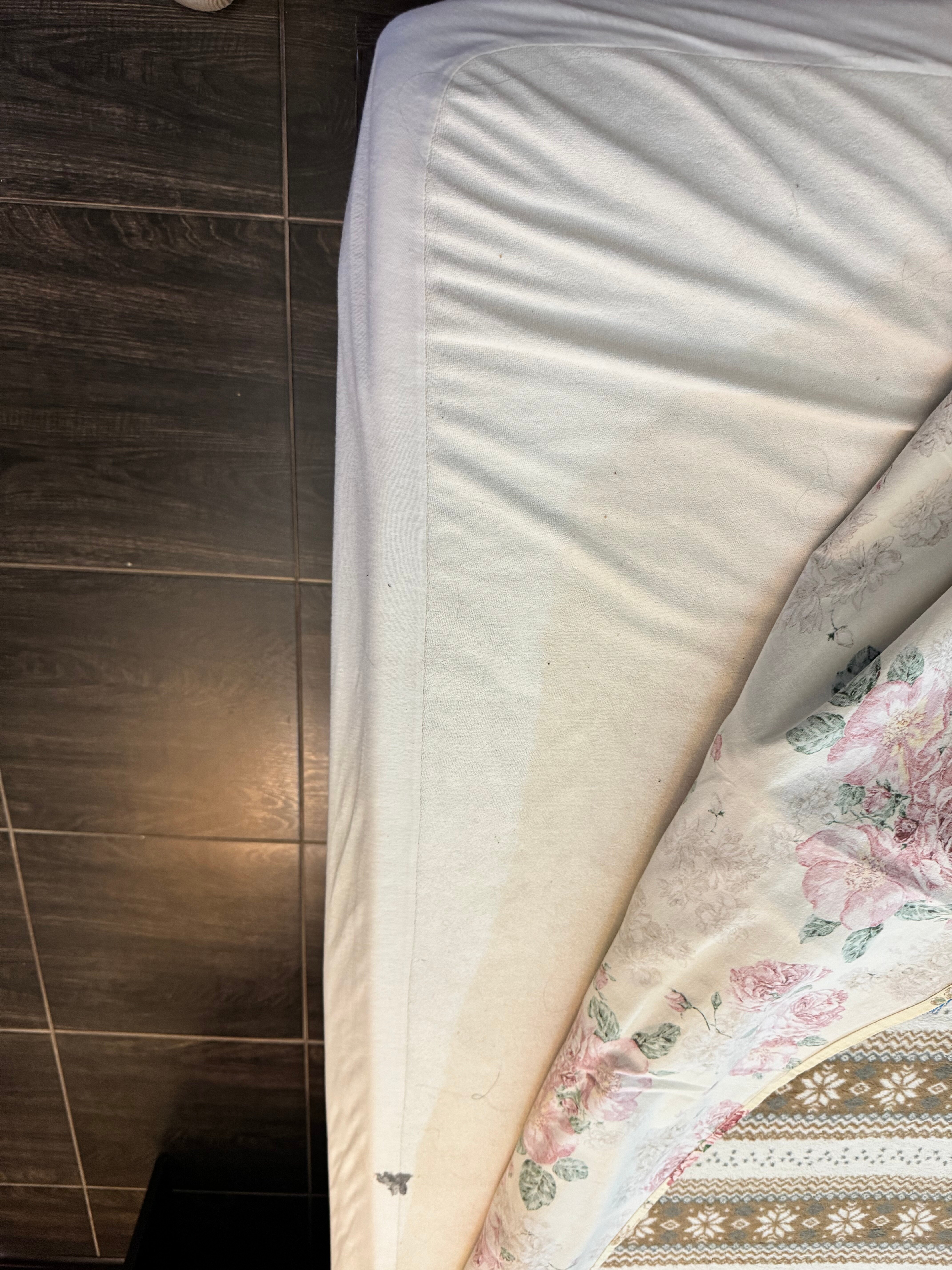 Фото Гостевой дом Черноморская 2