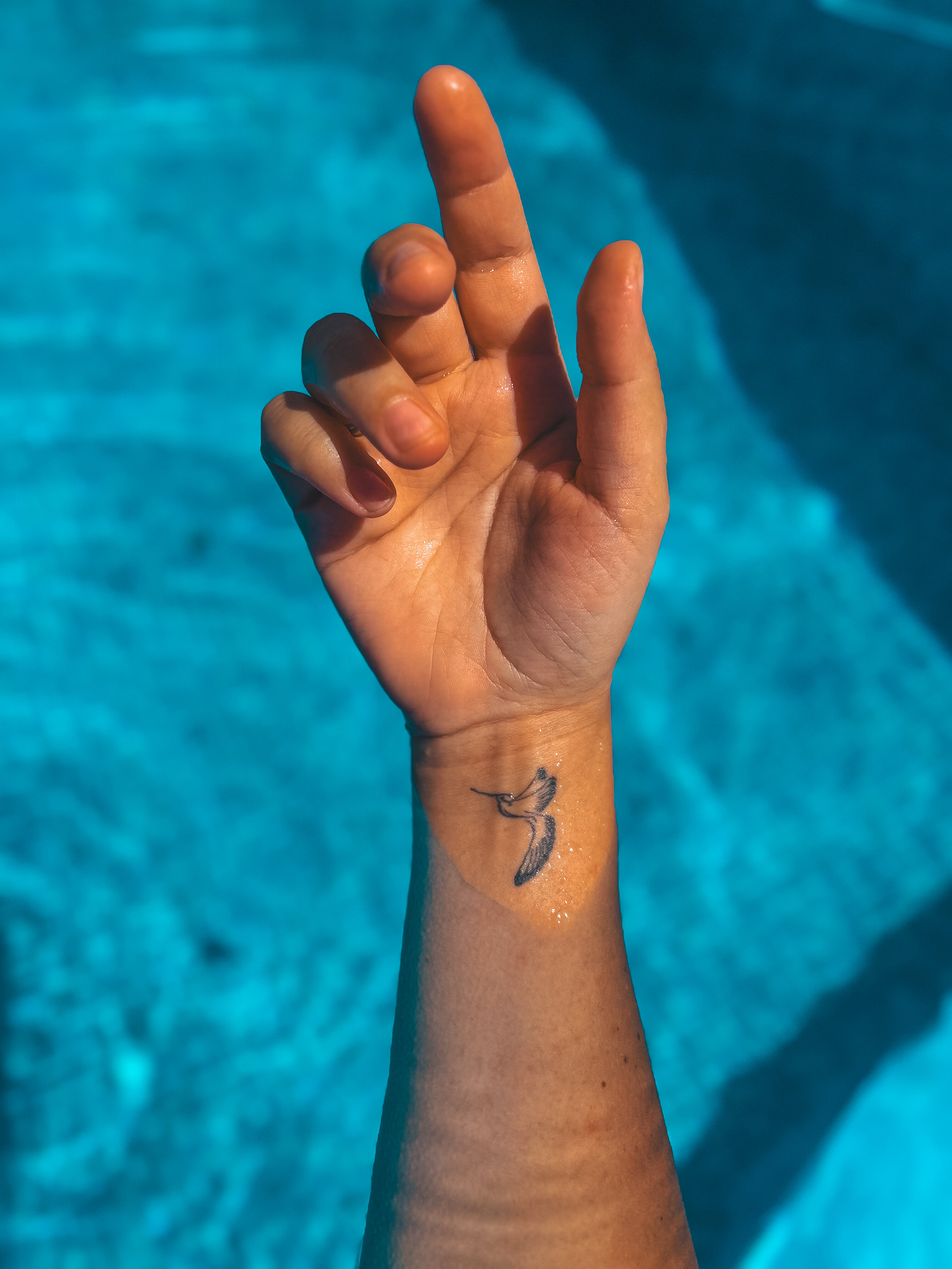 Фото Аркадия