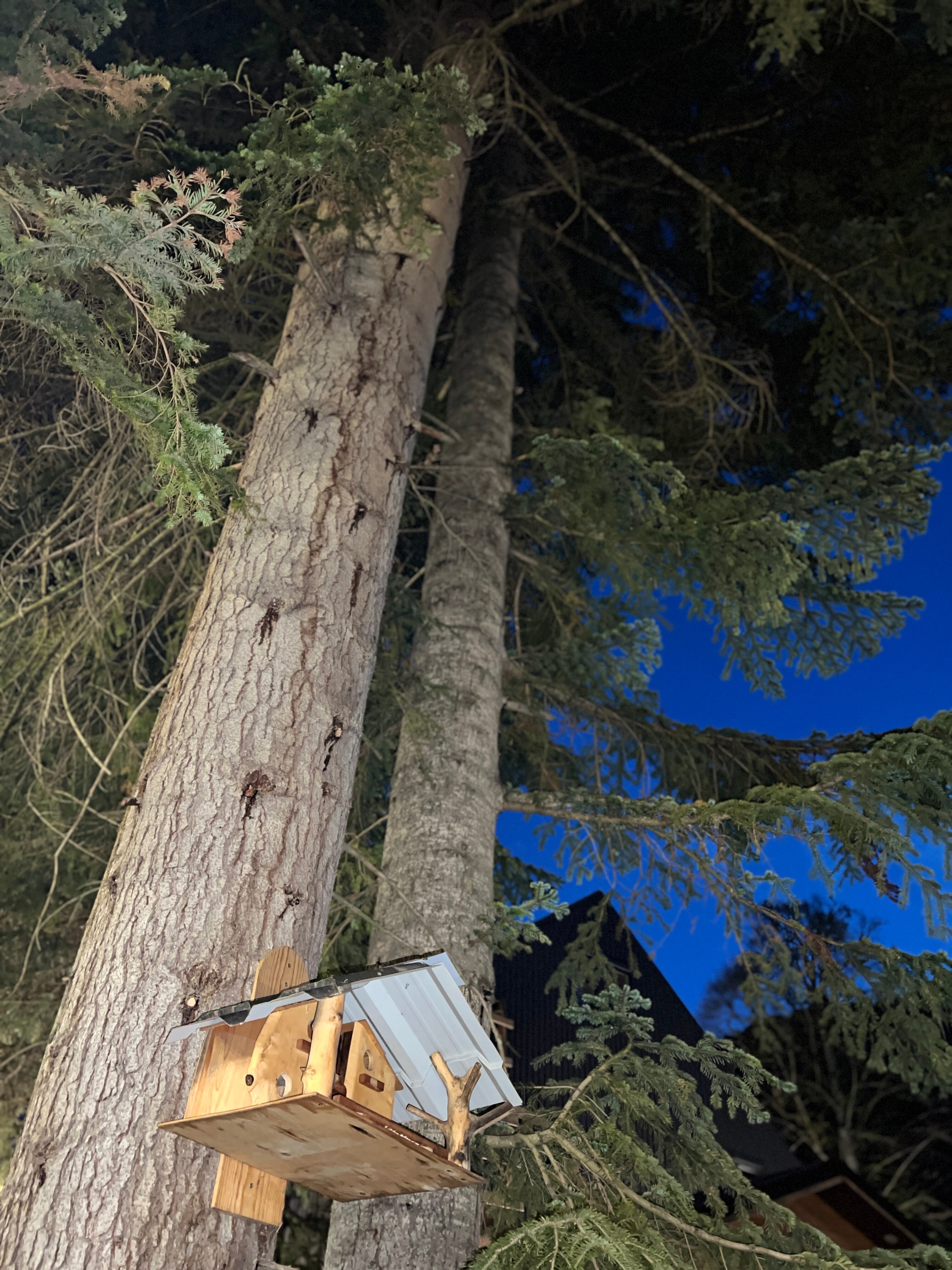 Фото Архыз Тревел