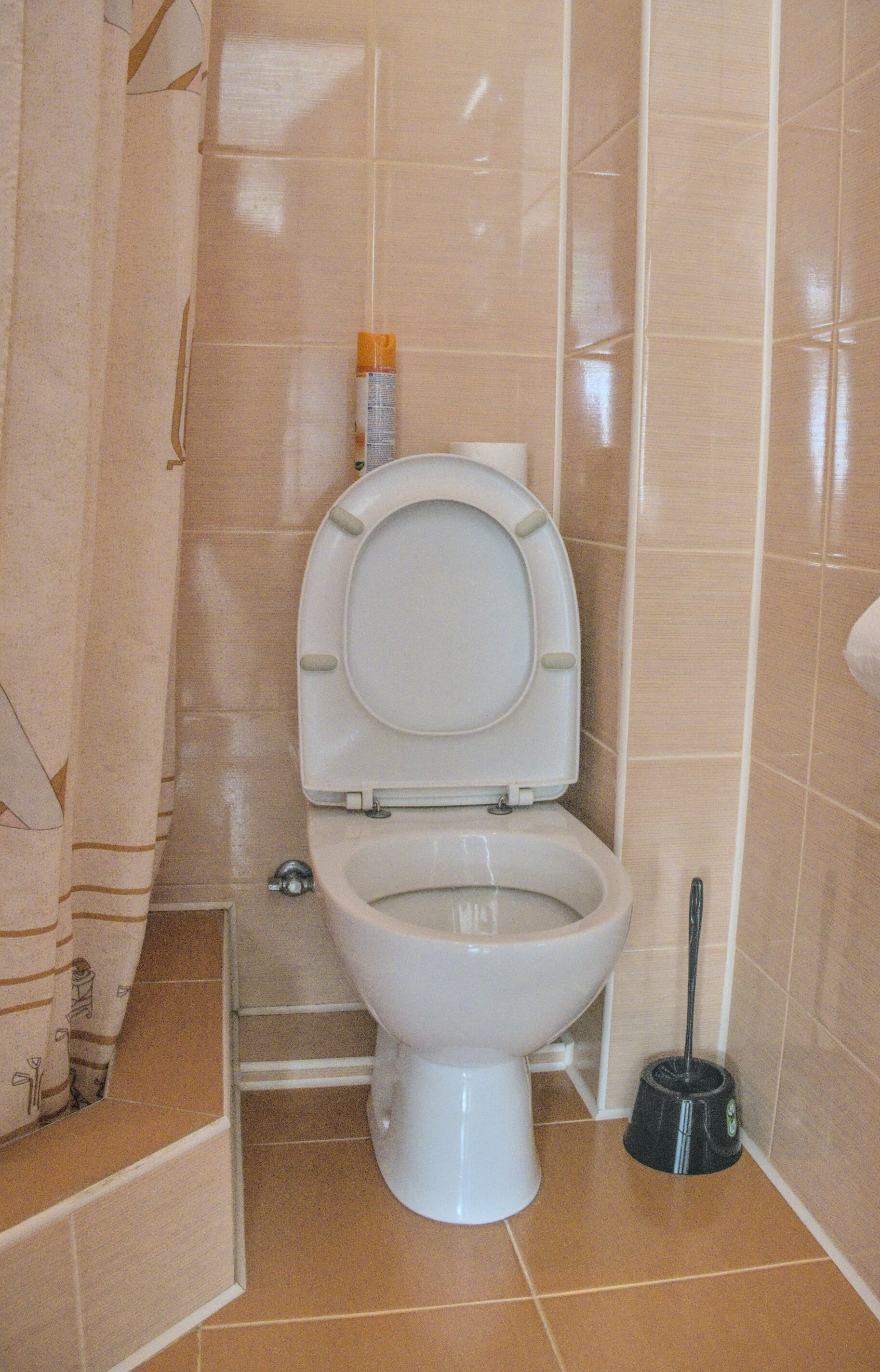 Фото Виноградная лестница