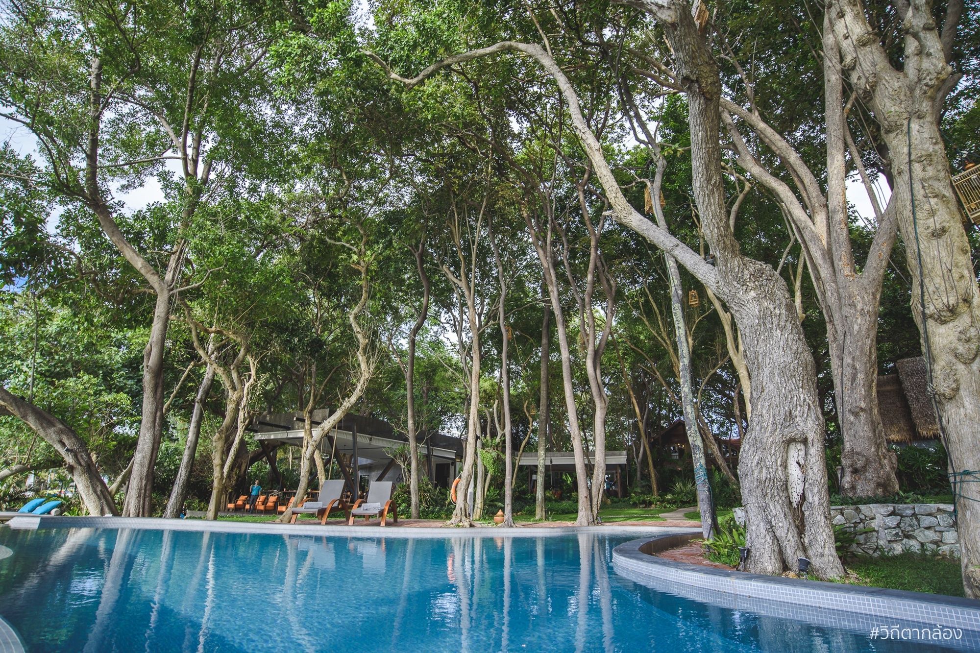 Фото The Monttra Pattaya