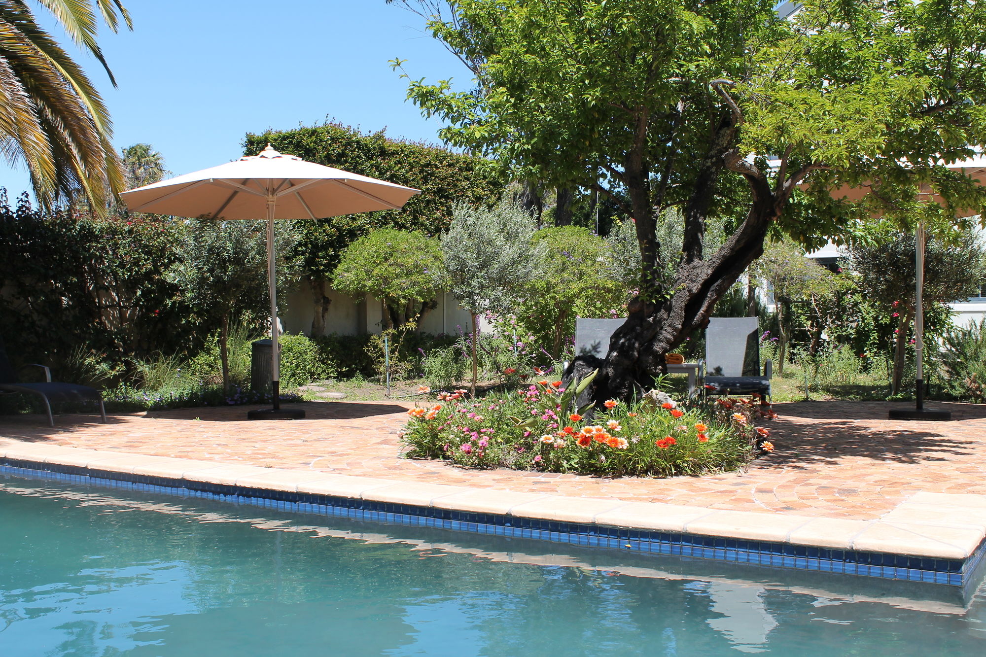 Фото Stellendal Guest House