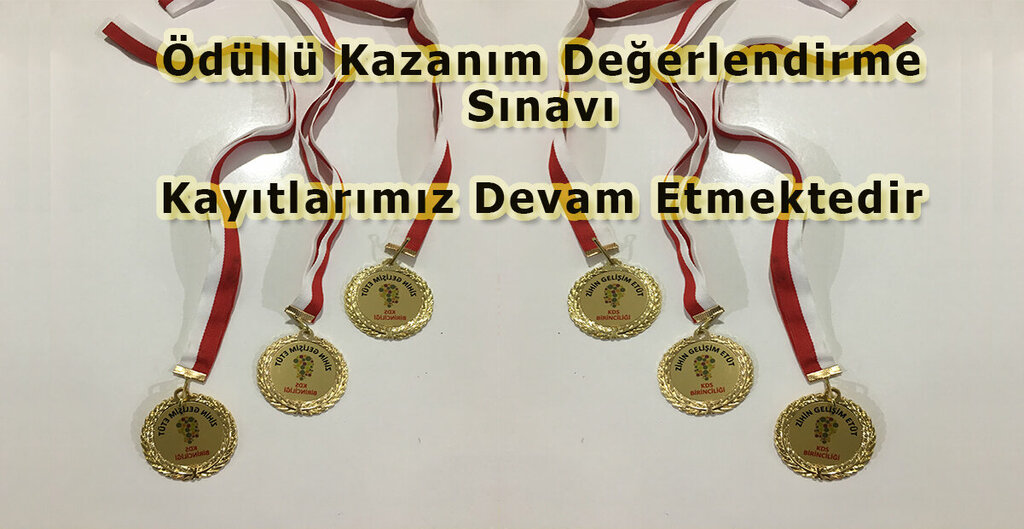 Educational center Zihin Gelisim Manisa, Manisa, photo