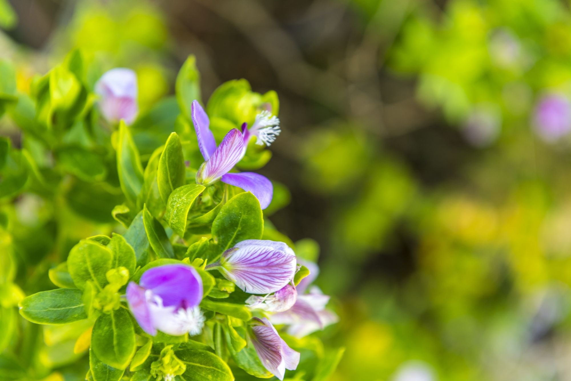 Фото Kingfisher GuestHouse