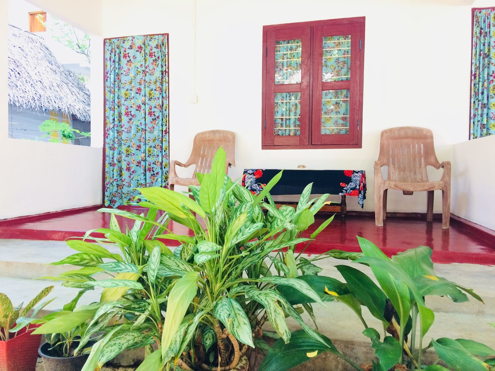 Фото Tropicana homestay