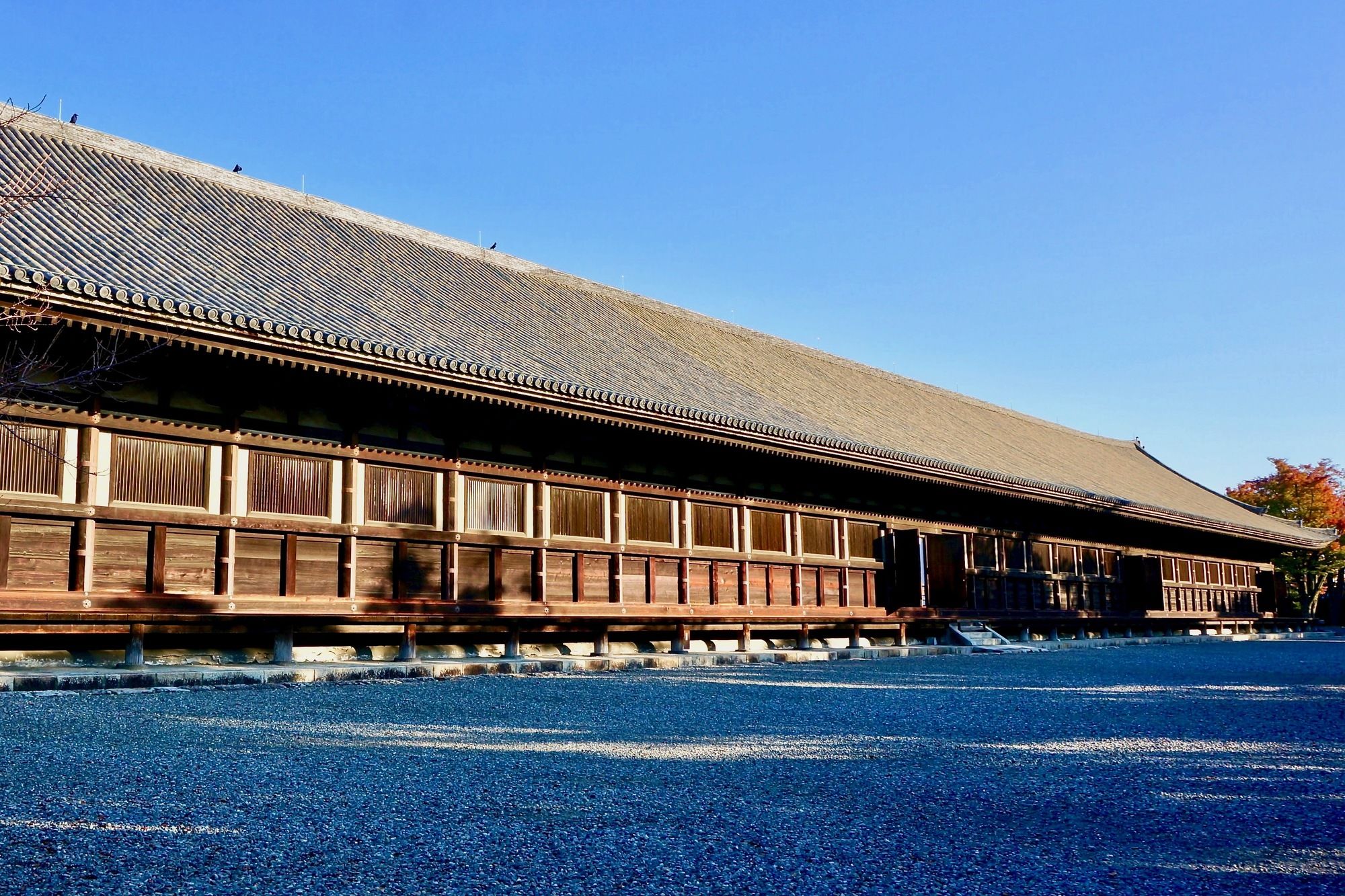 Фото WeBase Kyoto