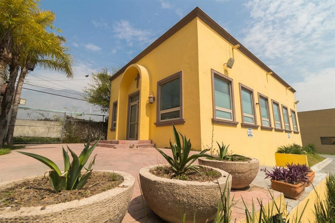 Фото 129567837248