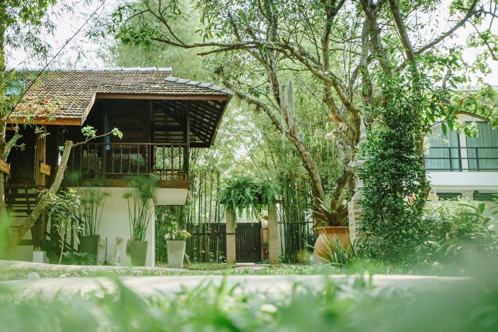 Фото Mango T. Villa Chiang Mai Resort