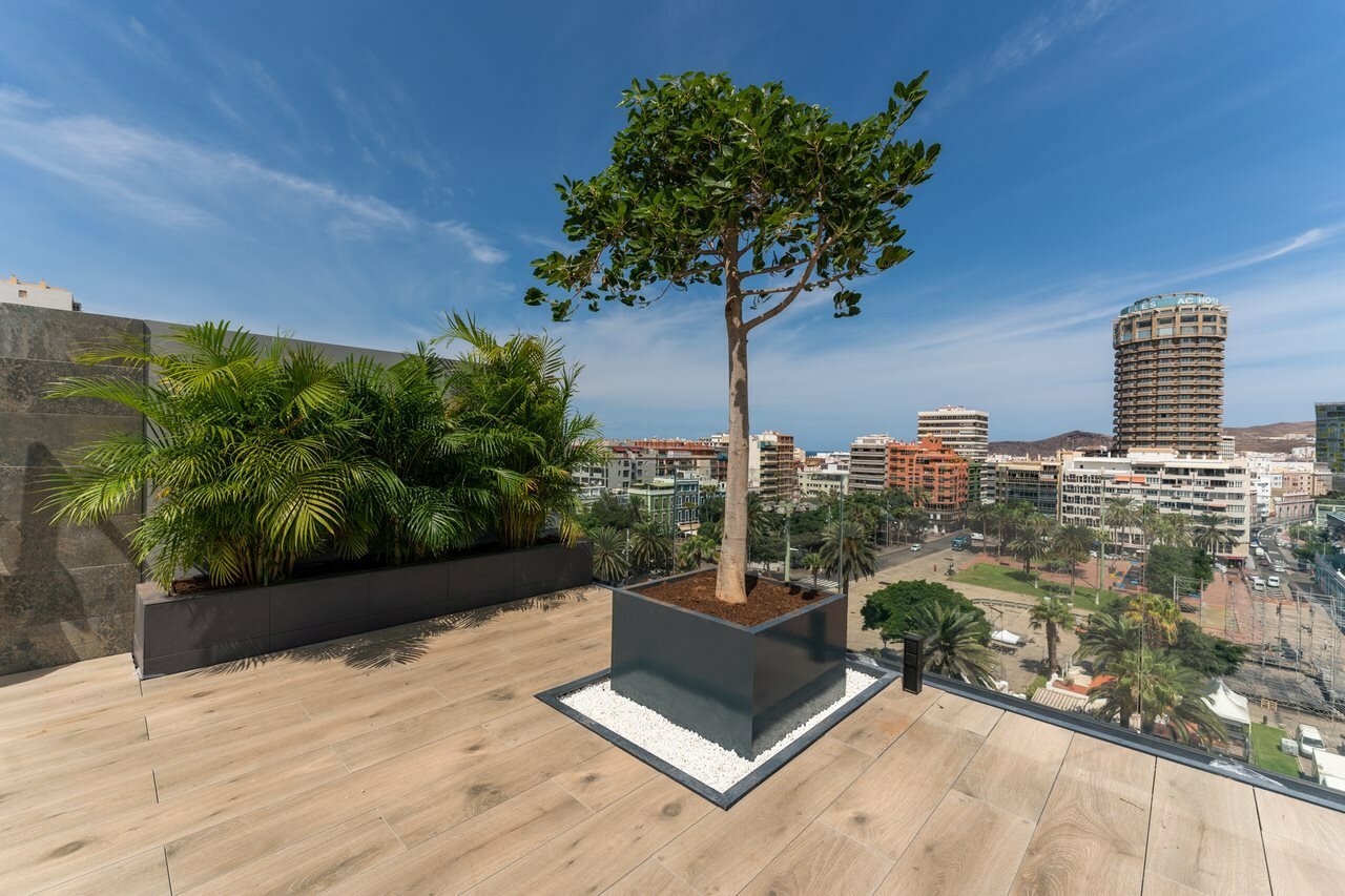 Фото Hotel Livvo Lumm