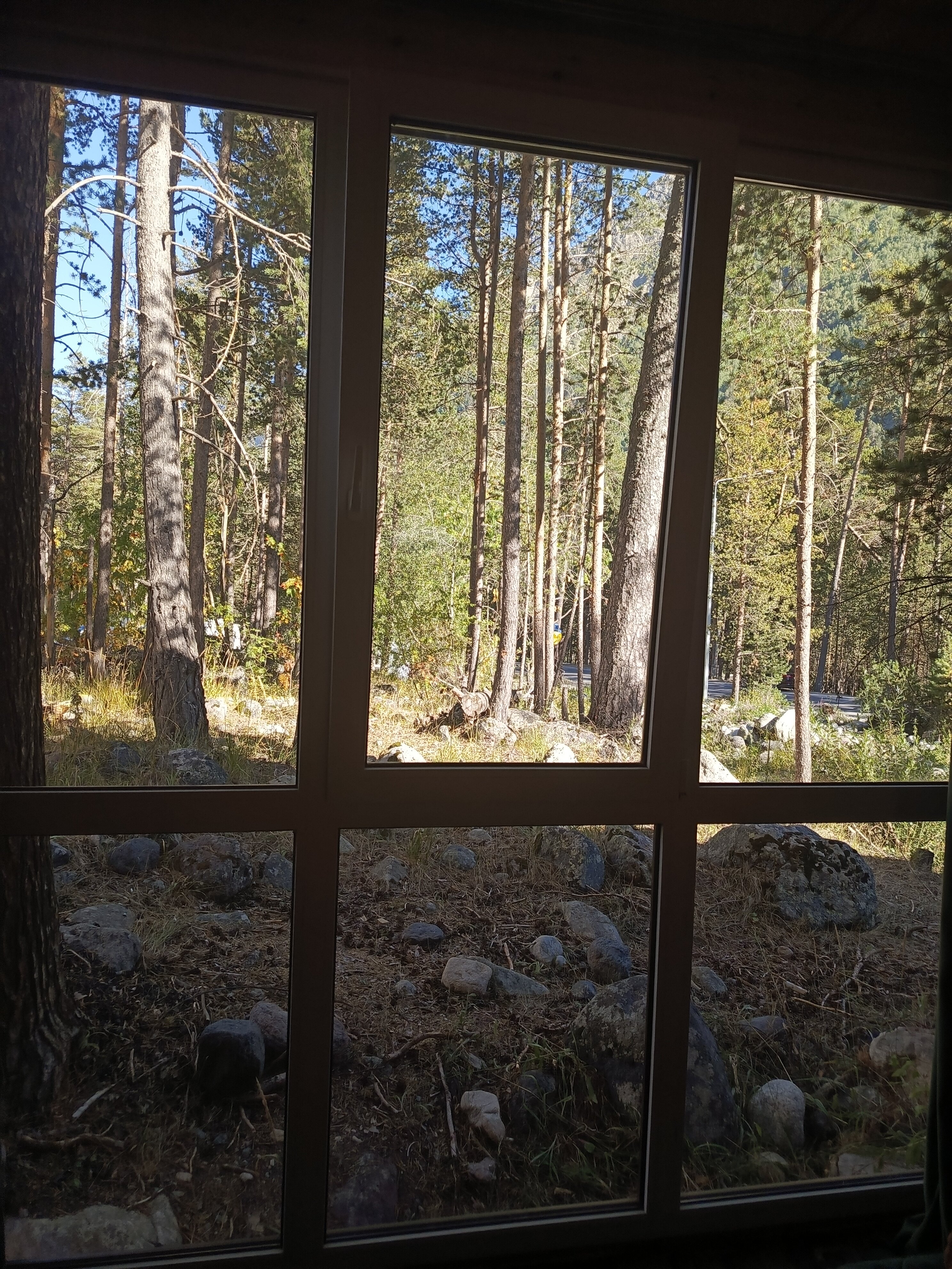 Фото Джаппу