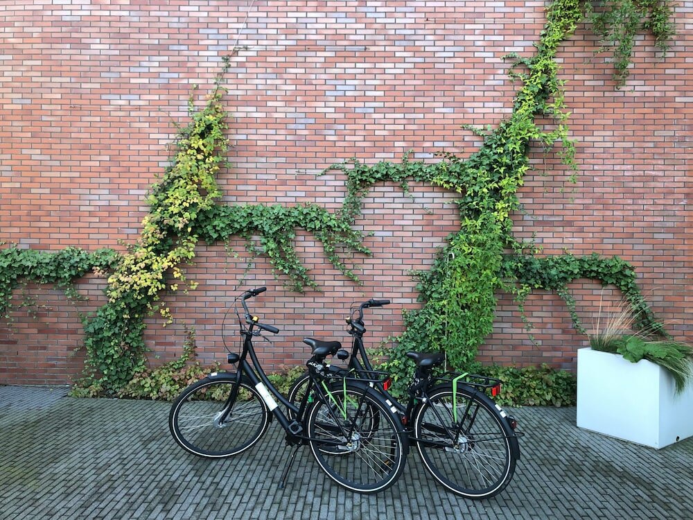 Фото Hyatt Place Amsterdam Airport