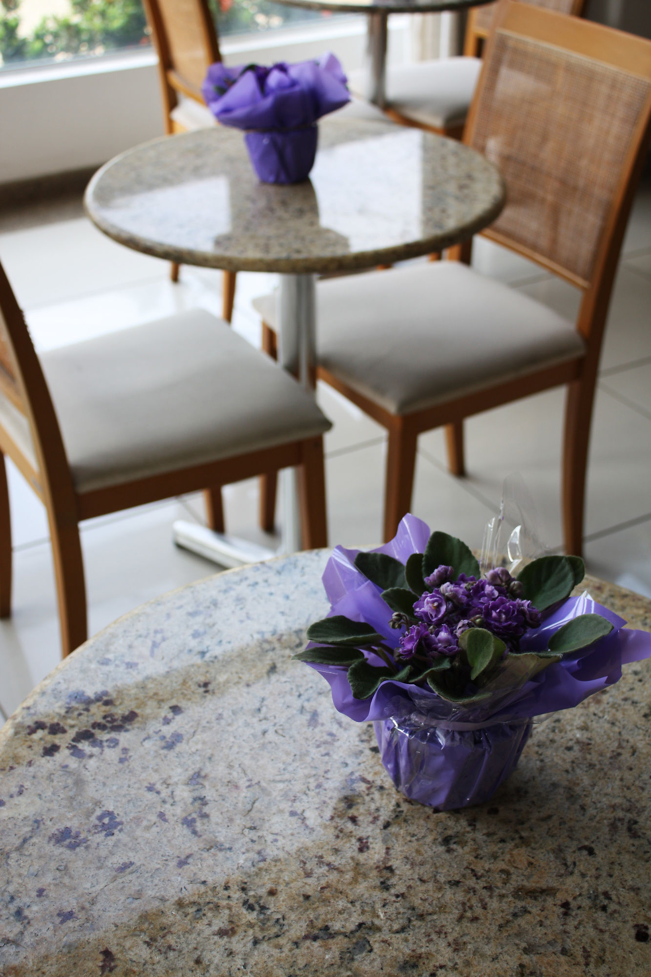 Фото Pisa Plaza Hotel