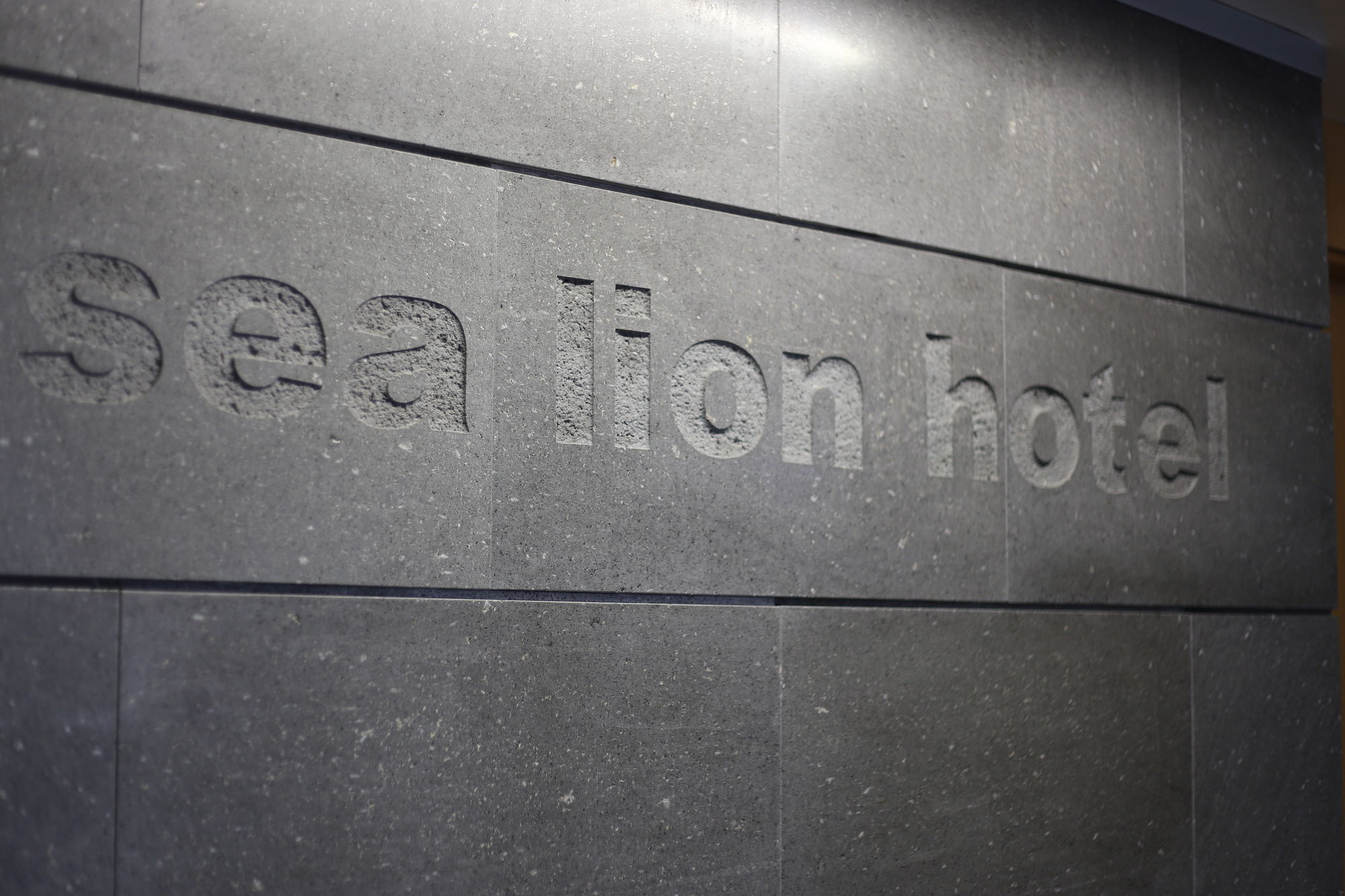 Фото Sea Lion Hotel