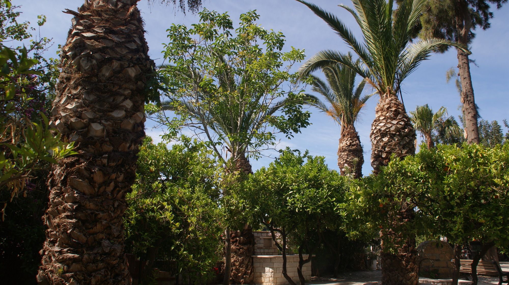 Фото Villa Christina