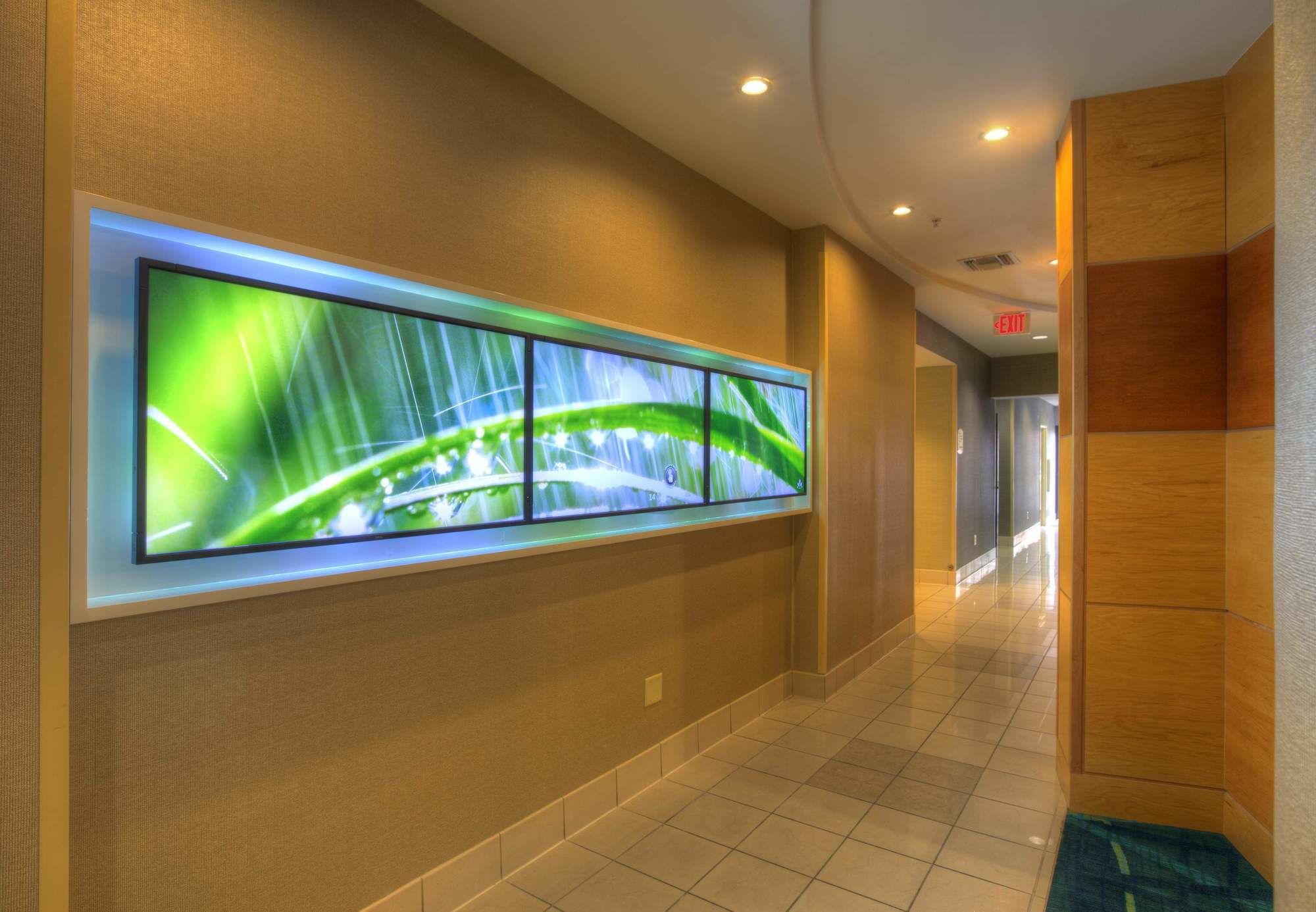 Фото Springhill Suites by Marriott Tampa Brandon