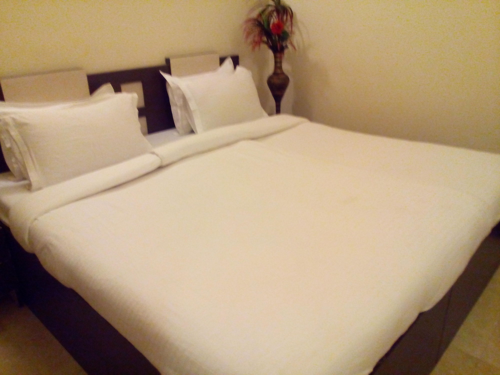 Фото Hotel Divine Destination