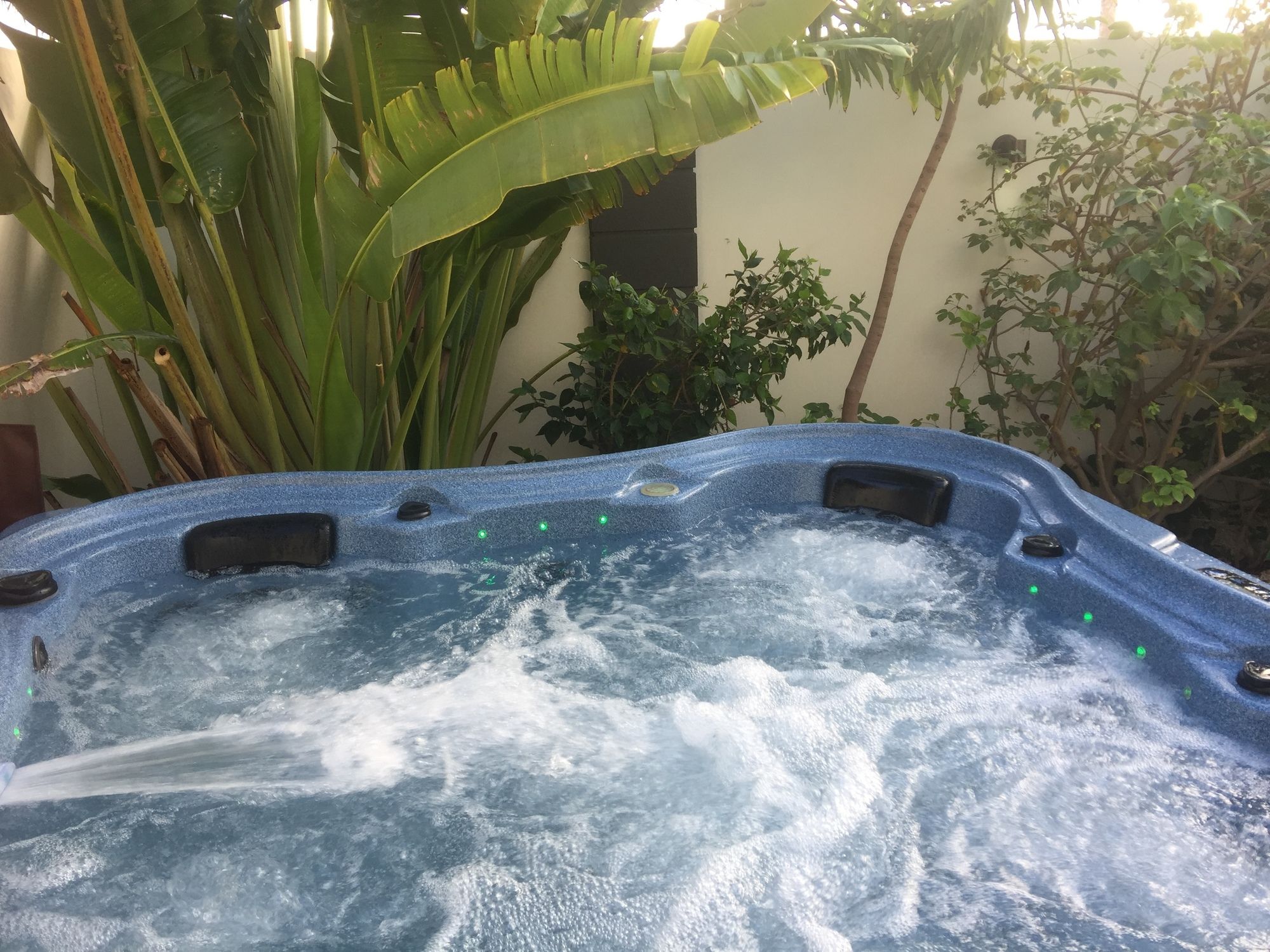 Фото Swiss Paradise Aruba