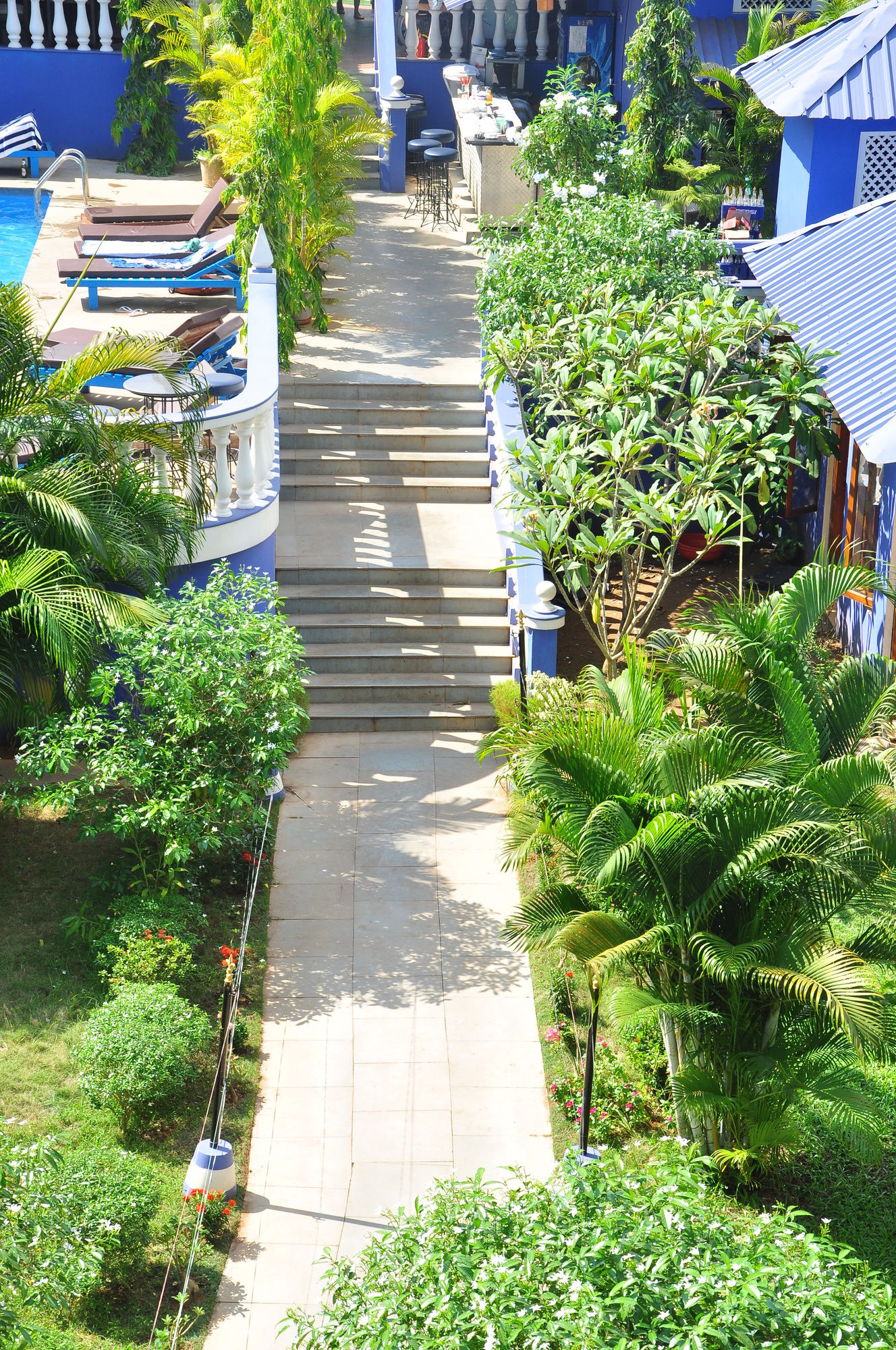 Фото Mayflower Beach Resort