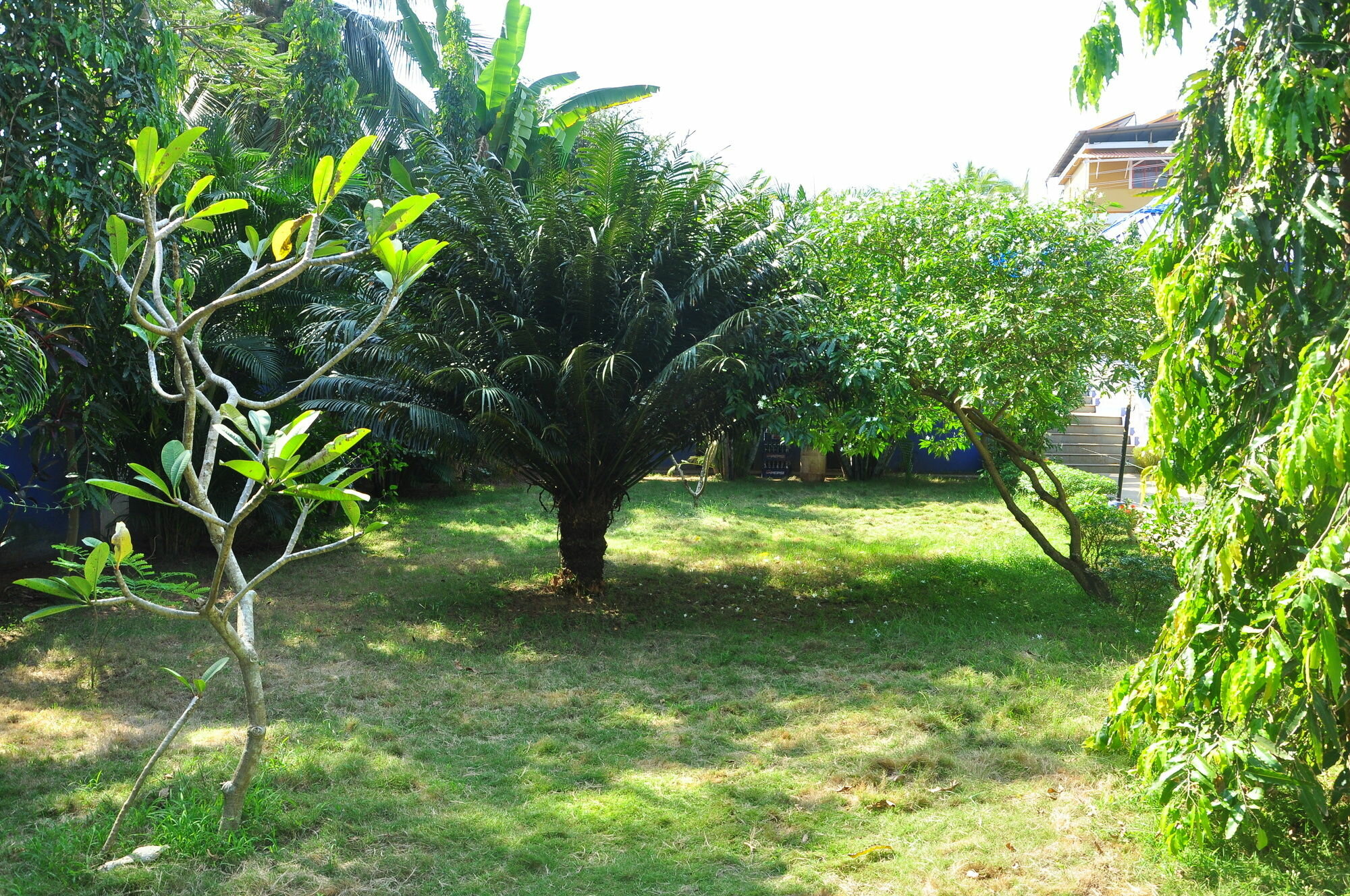 Фото Mayflower Beach Resort