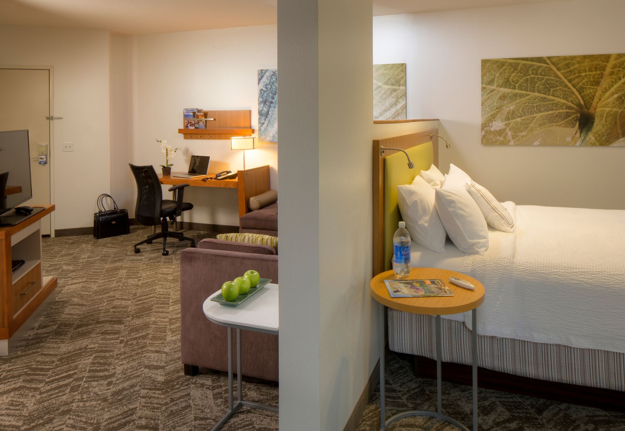 Фото SpringHill Suites Anchorage University Lake