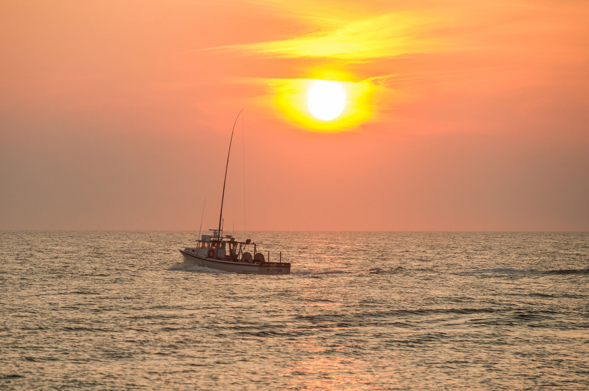 Фото Holiday Inn Express & Suites West Ocean City, an Ihg Hotel