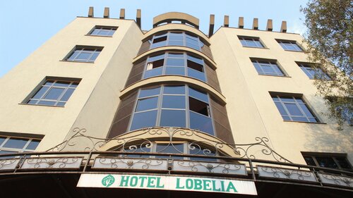 Внешний вид отеля Hotel Lobelia в Болэ, фото 2