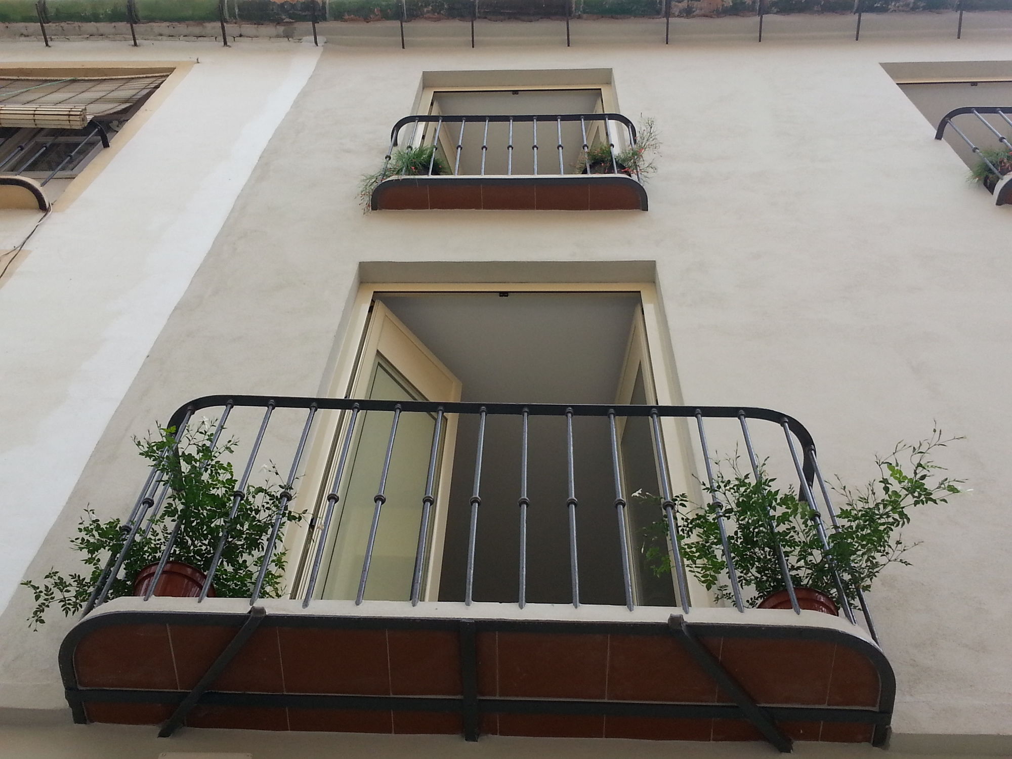 Фото La Siesta Málaga Guesthouse