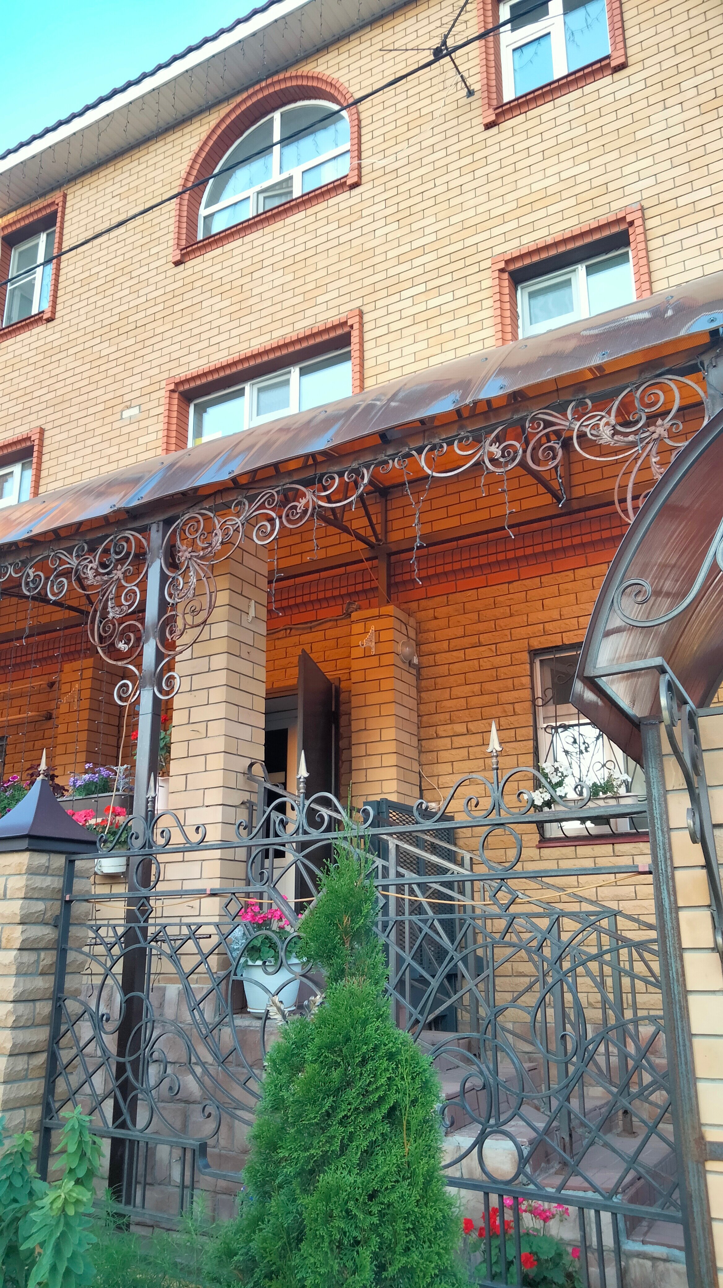 Фото Лечебная