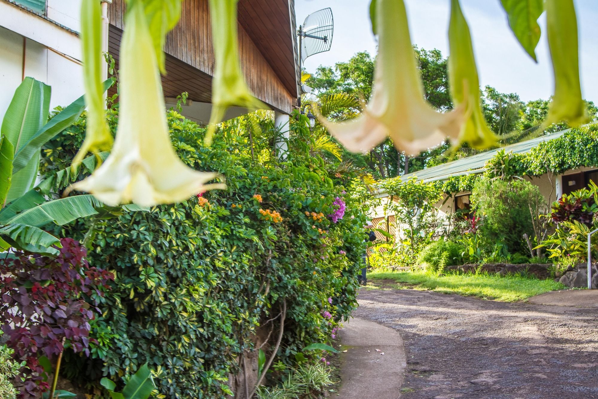 Фото Easter Island Eco Lodge