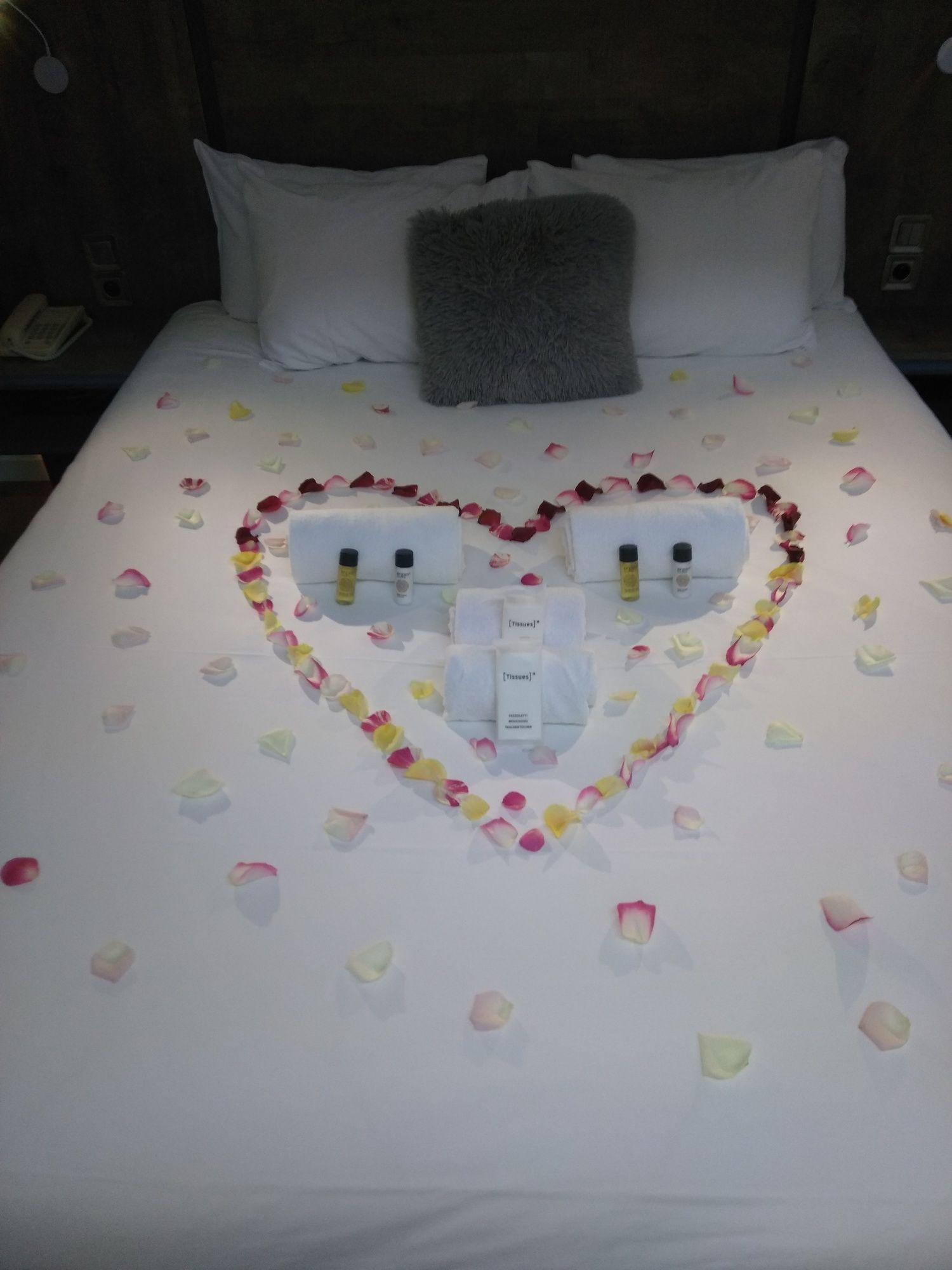 Фото Maisons du Monde Hôtel & Suites La Rochelle