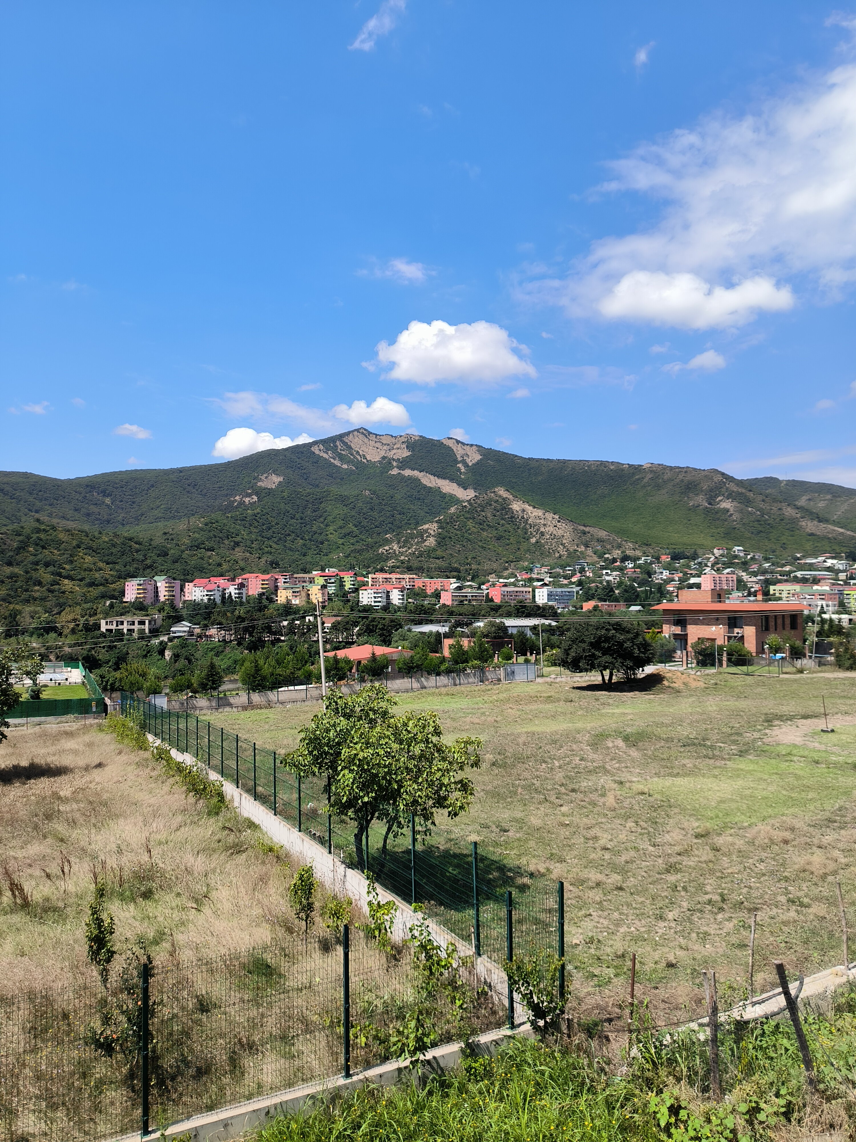 Фото Zedazeni Hotel