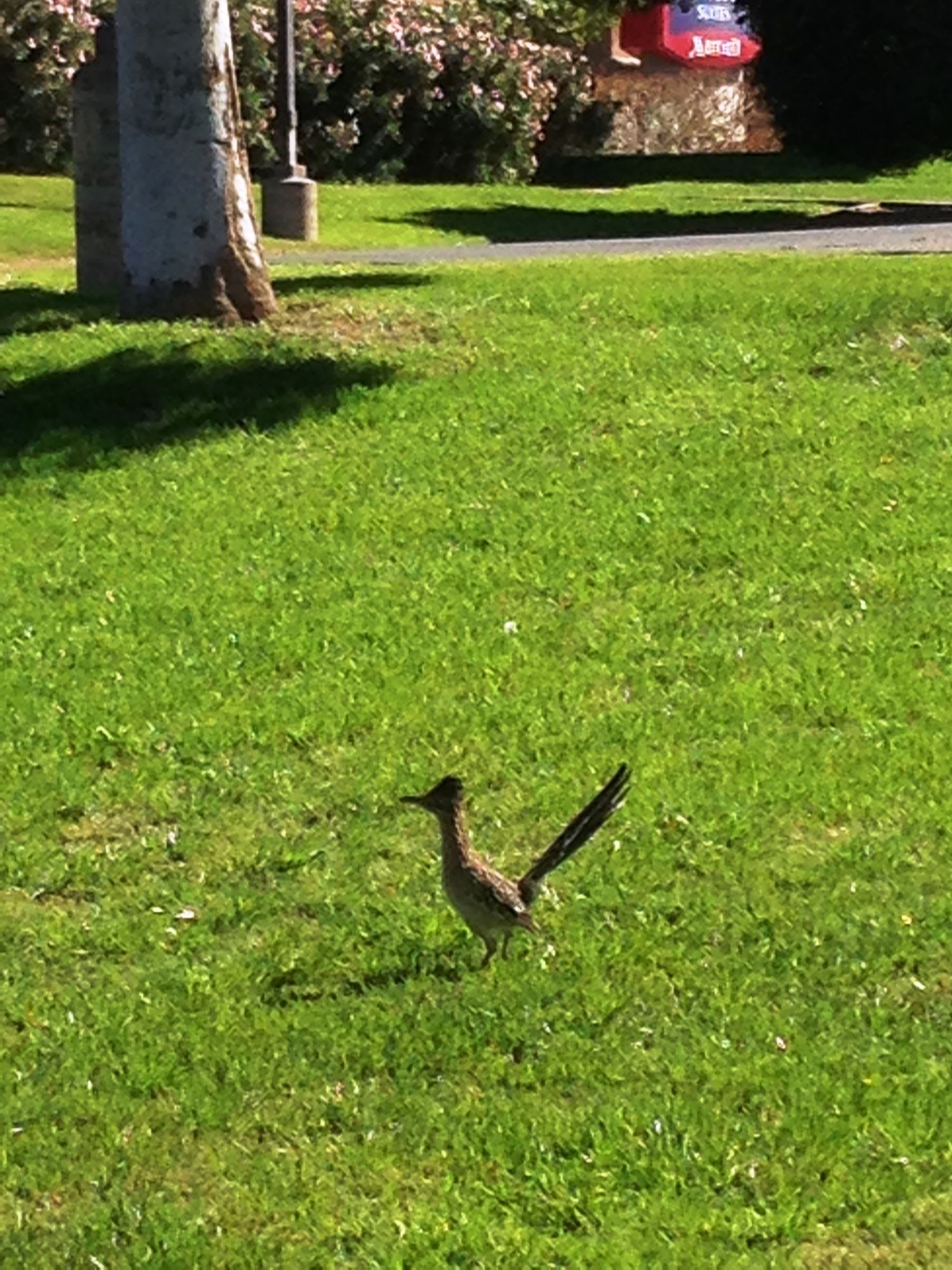 Фото Travelodge by Wyndham Yuma