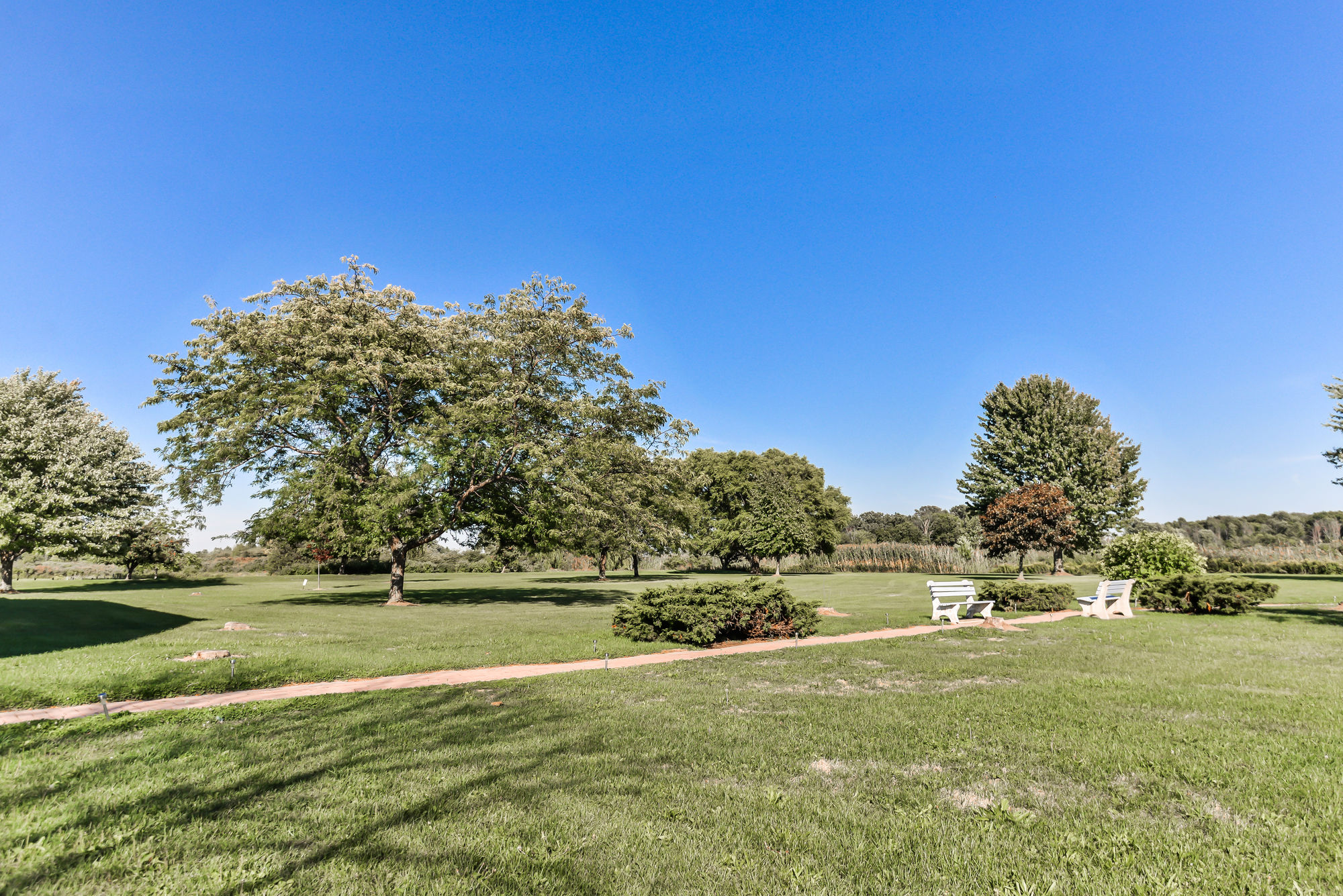 Фото Best Western Plus Leamington Hotel & Conference Centre