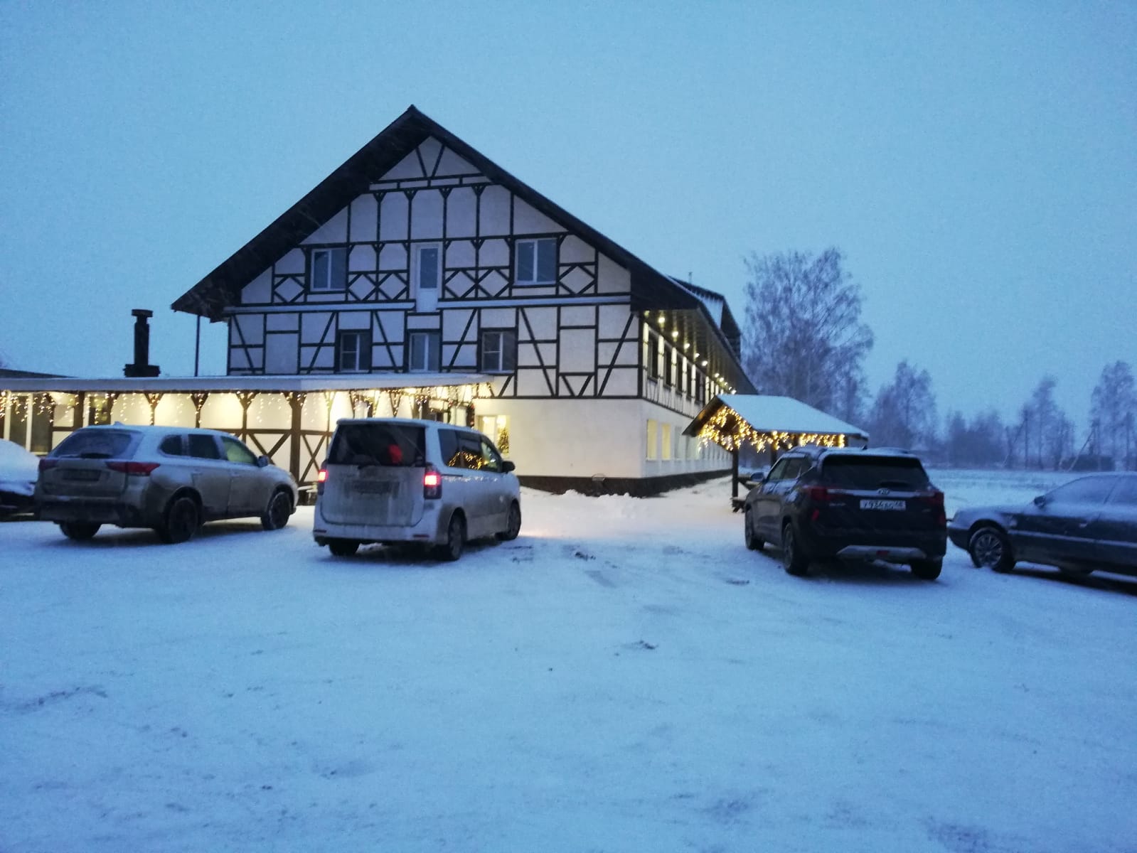 Фото Берёзка