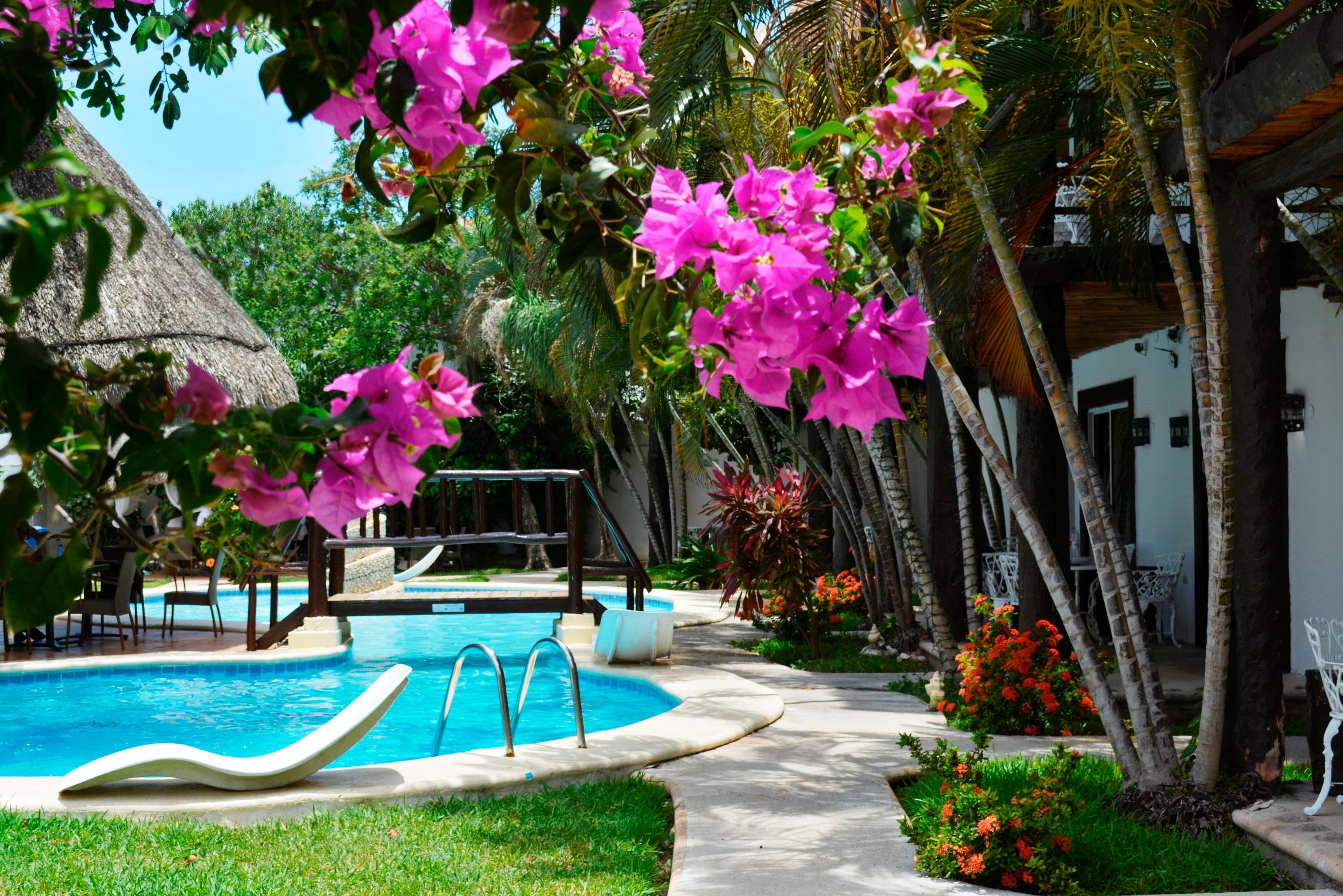 Фото Maya del Carmen