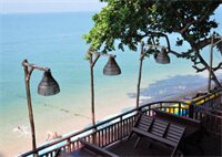 Фото Birds and Bees Resort