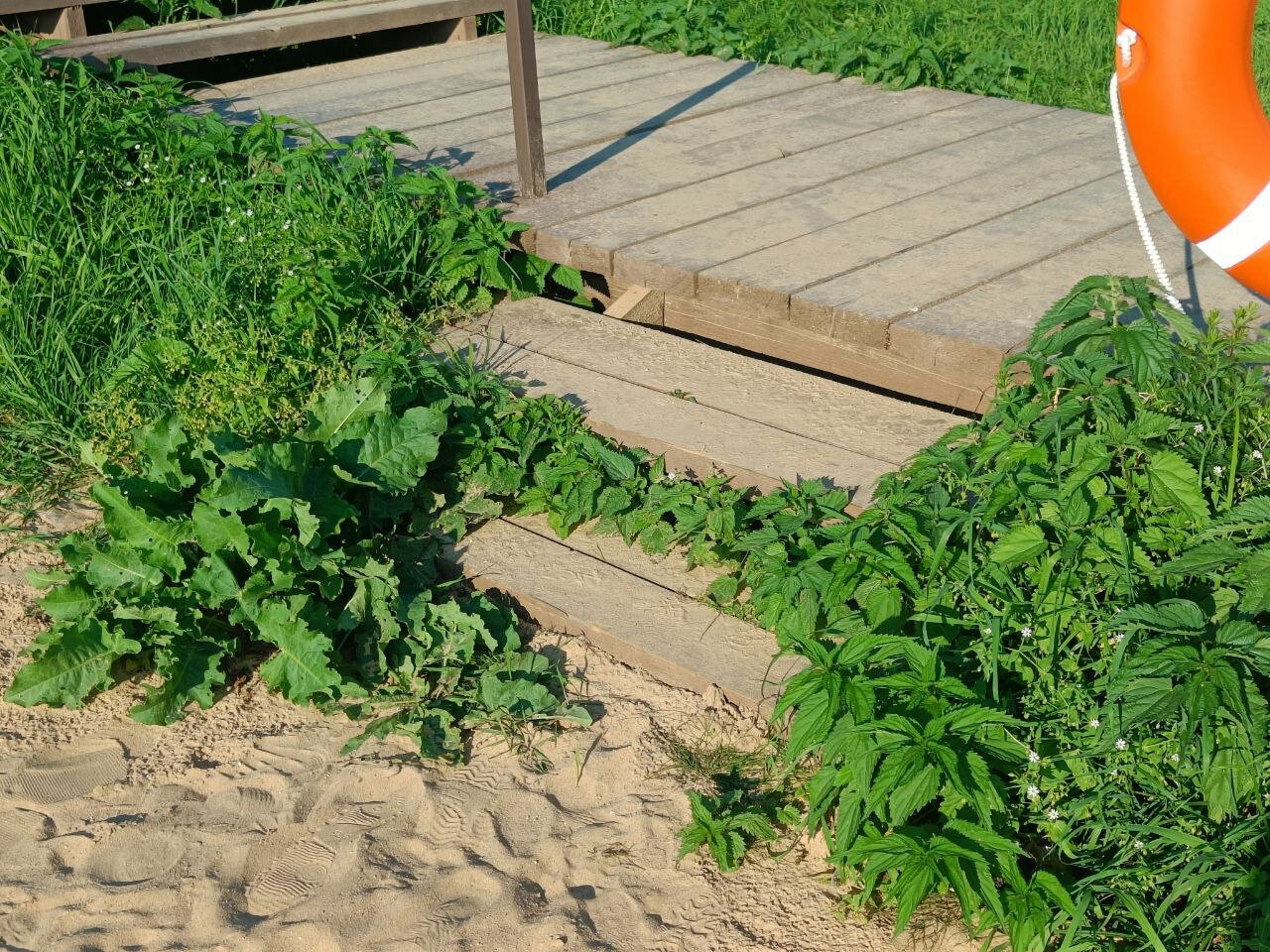Фото Глэмпинг Тверской-Ямской