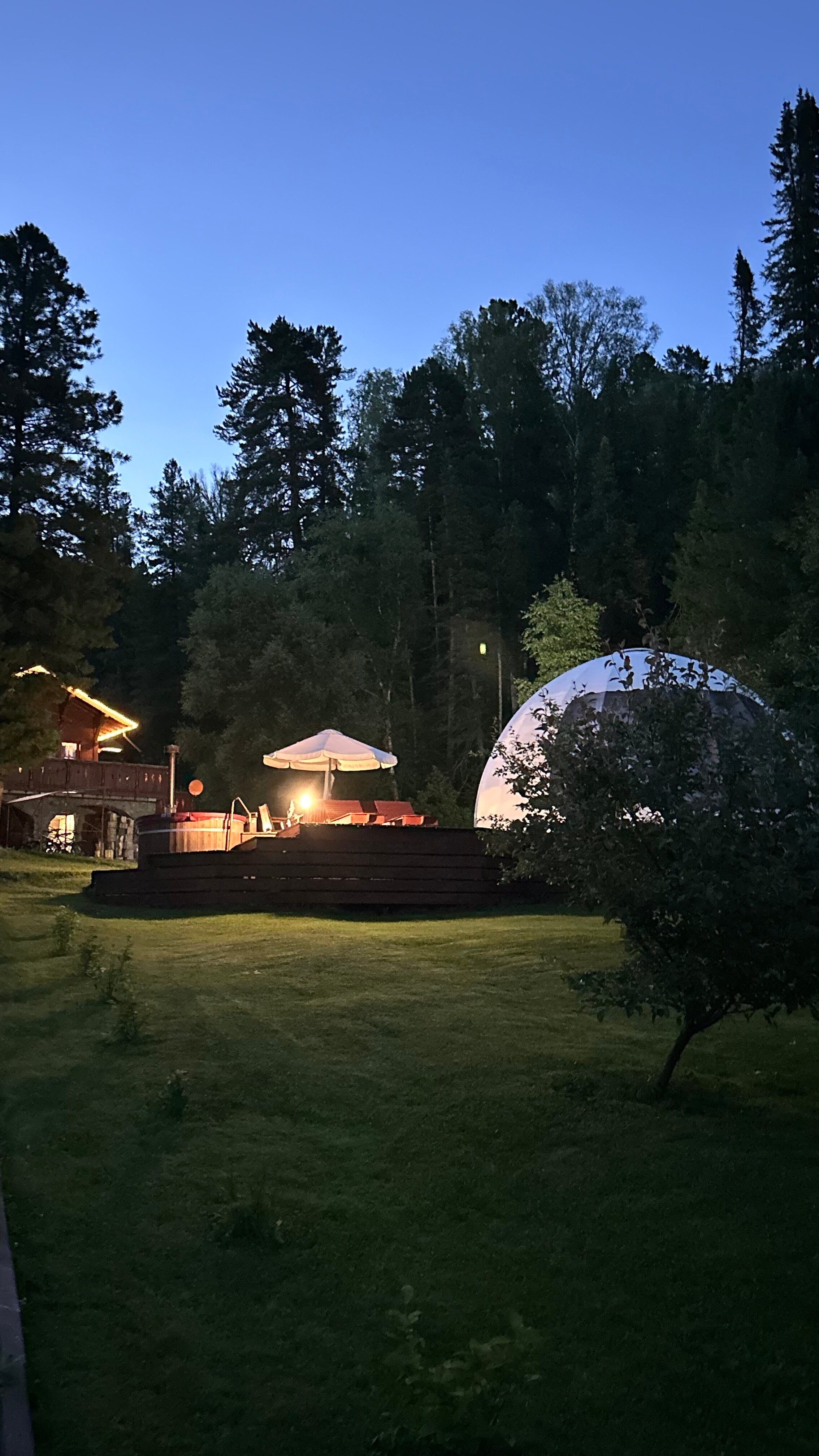 Фото Forest Glamp