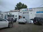 Avtomatty Boyau Pvl (Torgovaya ulitsa, 1/8), esmaltes para automóviles, pinturas para automóviles