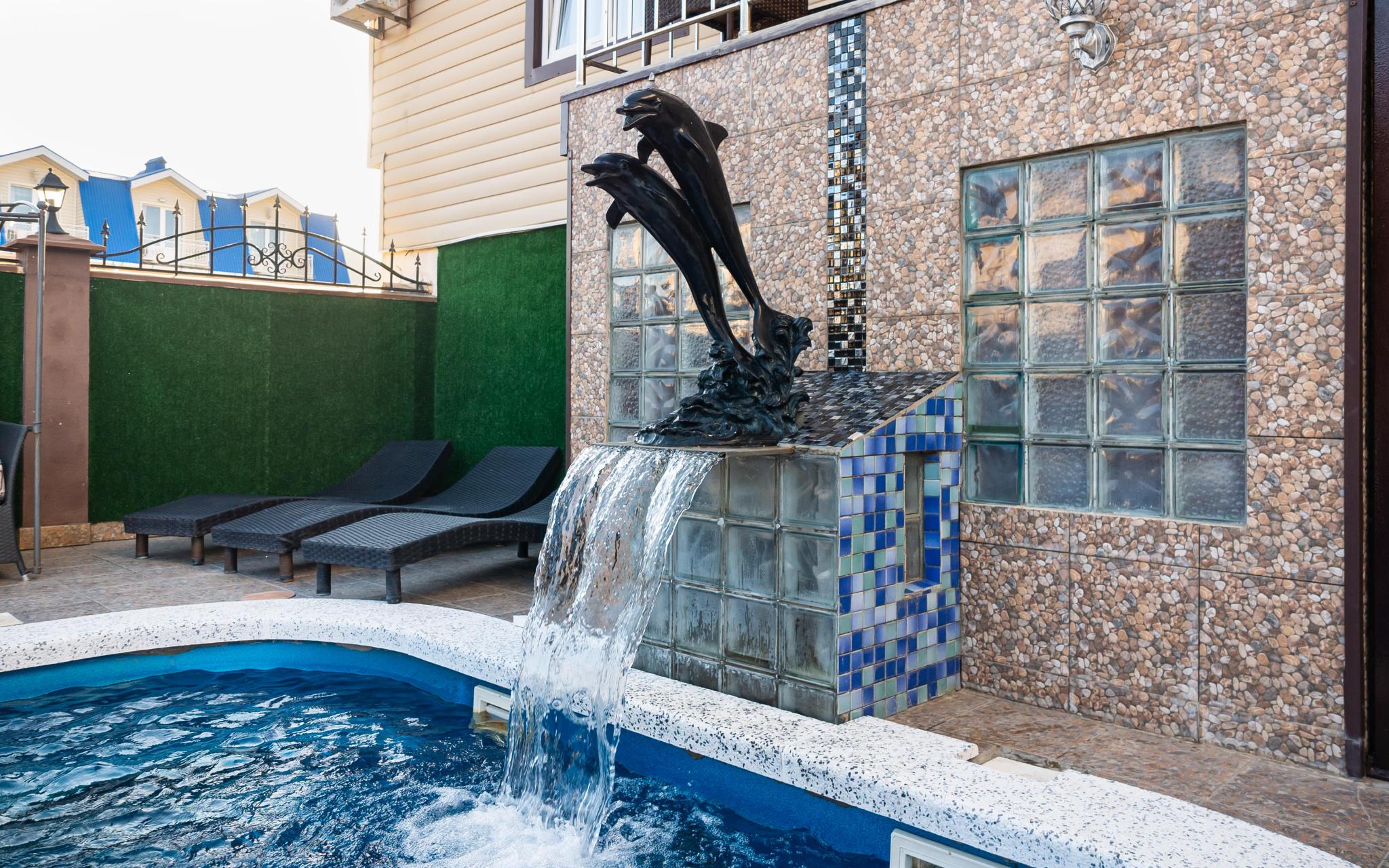 Фото Анютины Глазки