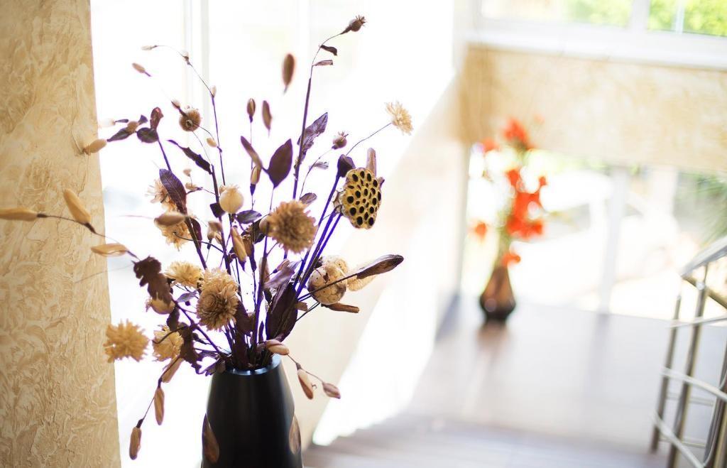 Фото Сапфир