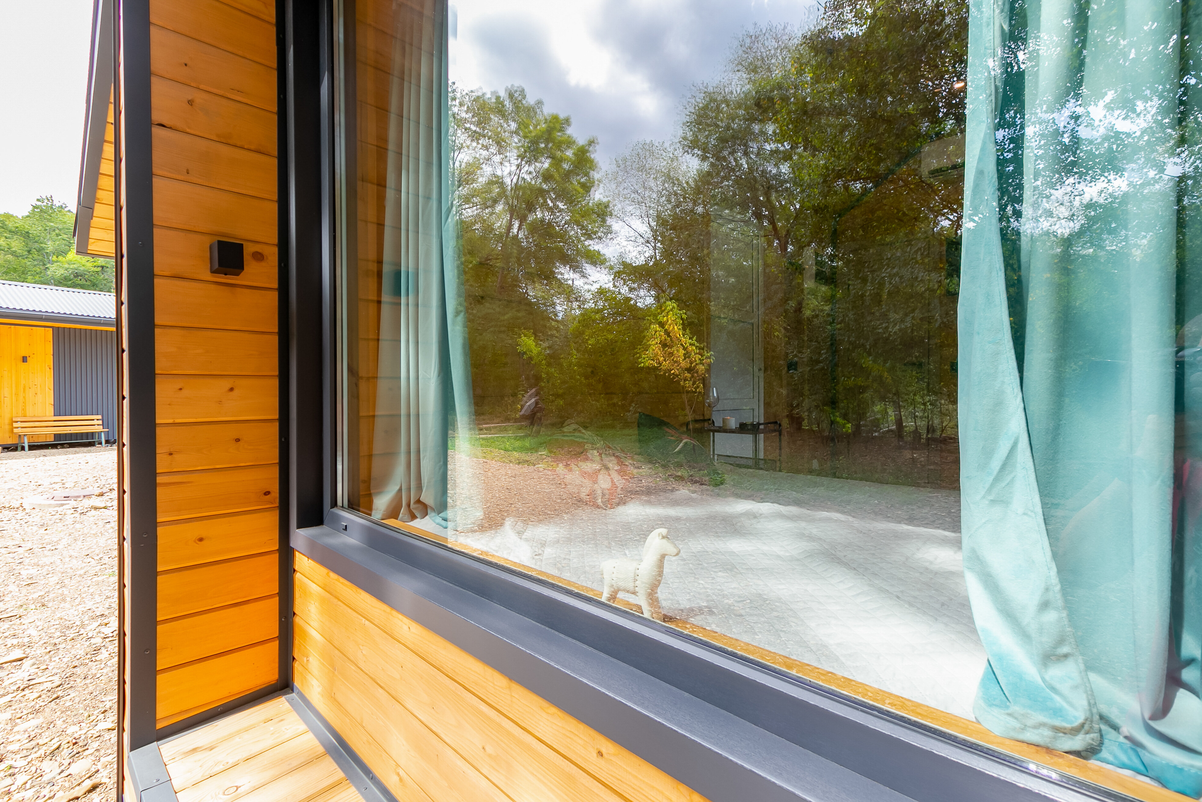 Фото Шелест