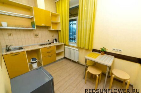 Фото Красный Подсолнух