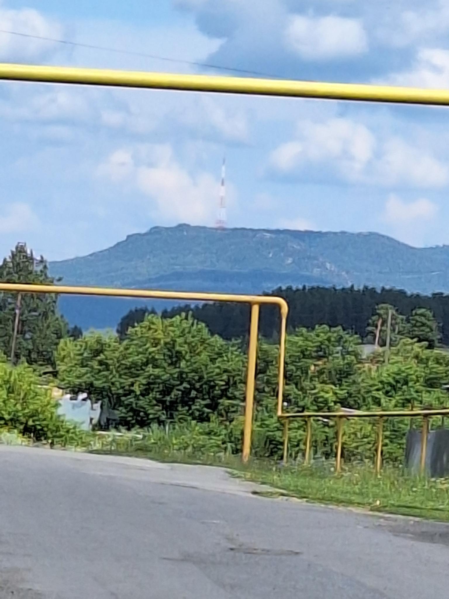 Фото Лесная Жемчужина