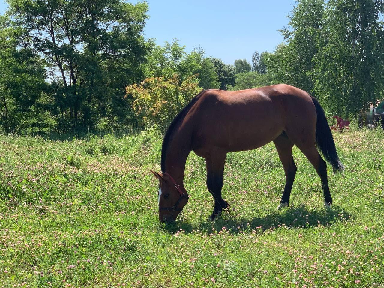 Фото Усадьба Александрово