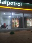BalPetrol (Saratov Region, Balakovskiy rayon, Bykovo-Otrogskoye munitsipalnoye obrazovaniye, SNT Russkiye Zori, Shosseynaya ulitsa), gas station