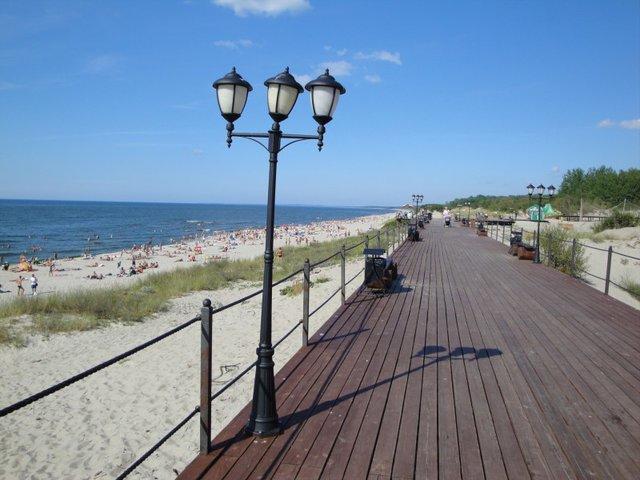 Фото Стрекоза